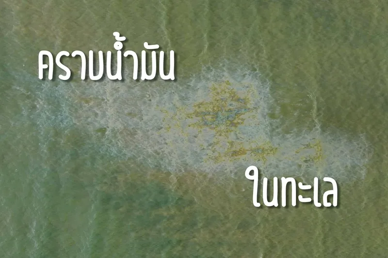 คราบน้ำมันอ่าวบางขวัญ ภาพ Theerasak Saksritawee