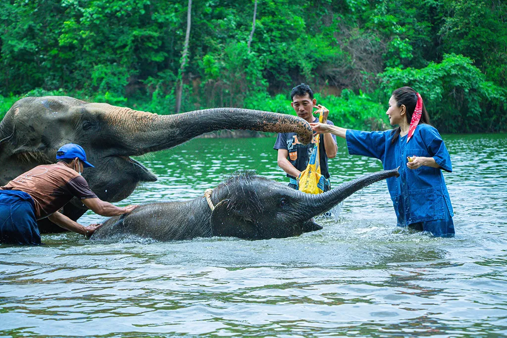 หนูนาทำกิจกรรมอาบน้ำช้างที่สถาบันคชบาลฯ (ภาพ : เพจ ศูนย์อนุรักษ์ช้างไทย จ.ลำปาง)